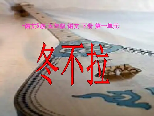 冬不拉教学ppt课件