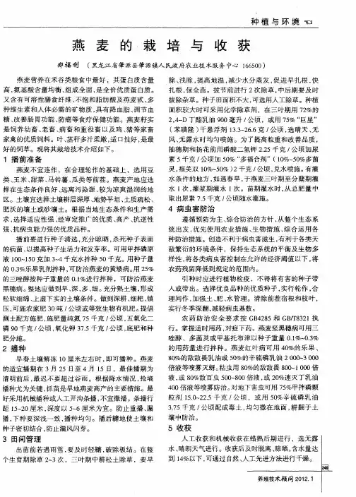 燕麦的栽培与收获