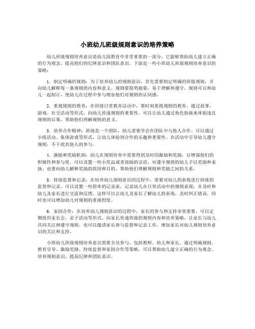 小班幼儿班级规则意识的培养策略