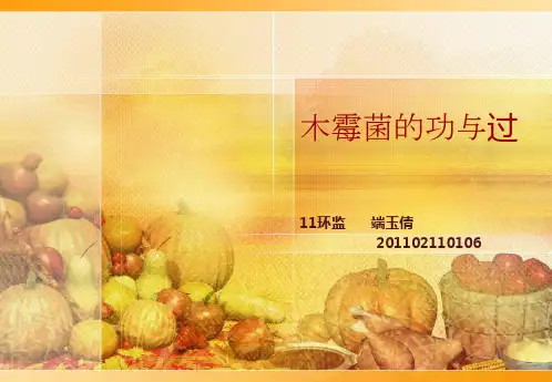 木霉菌的功过