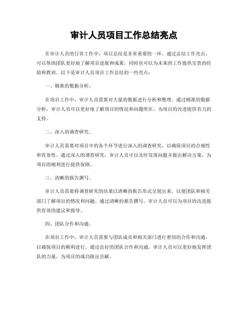 审计人员项目工作总结亮点