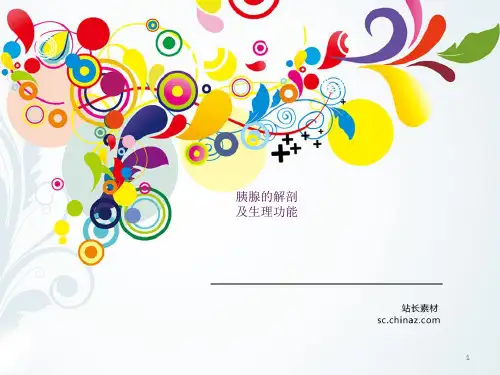 胰腺的解剖及生理功能ppt课件