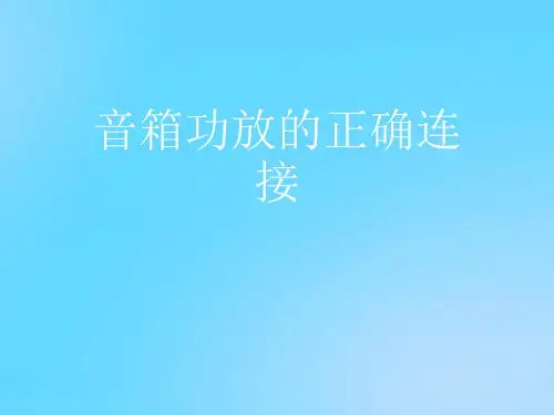 【优】音箱功放的正确连接PPT资料