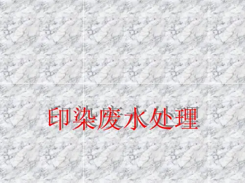 印染废水处理