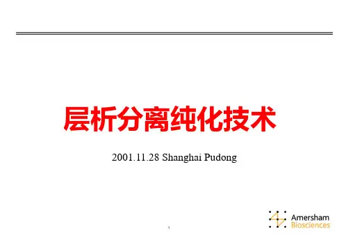 AKTA 层析分离技术PROTEINPPT课件
