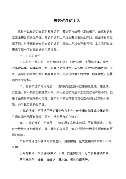 白钨矿选矿工艺
