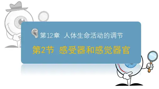 感受器和感觉器官-七年级生物课件(北师大版七下)