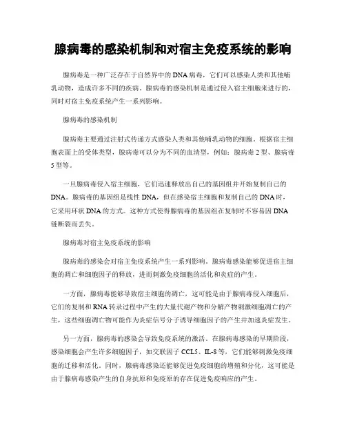 腺病毒的感染机制和对宿主免疫系统的影响