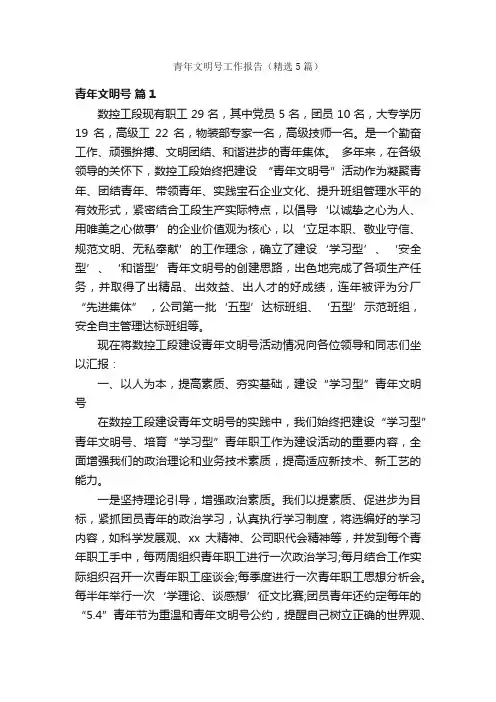 青年文明号工作报告（精选5篇）