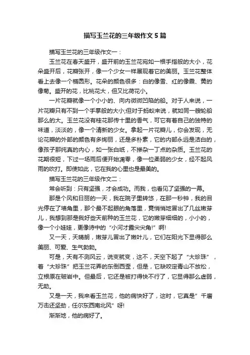 描写玉兰花的三年级作文5篇