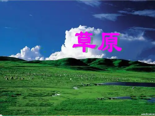 五年级下册《草原》PPTPPT课件