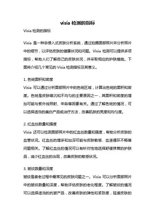 visia检测的指标