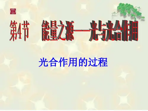 光合作用过程