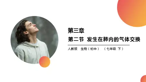 《发生在肺内的气体交换》PPT精品课件