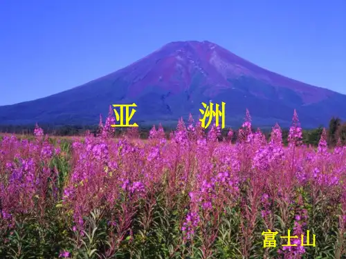 湘教版地理七年级下册第一单元亚洲欧洲非洲 复习课件