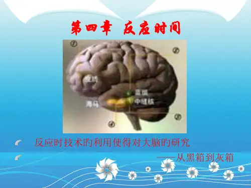 四章反应时间