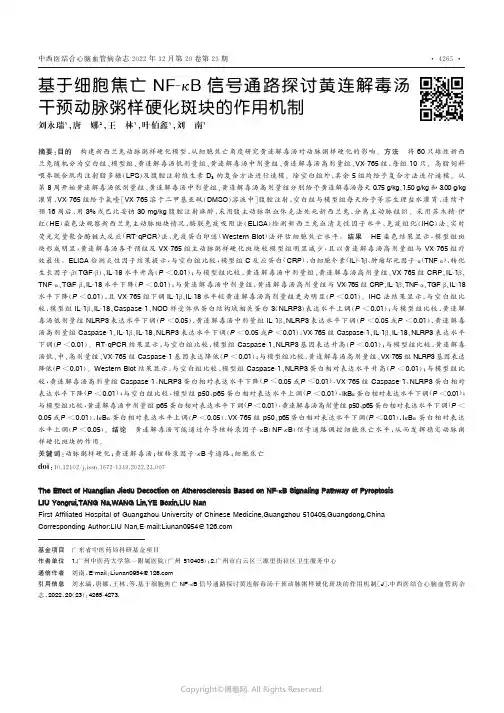 基于细胞焦亡NF-κB信号通路探讨黄连