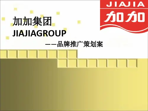加加集团品牌推广策划案