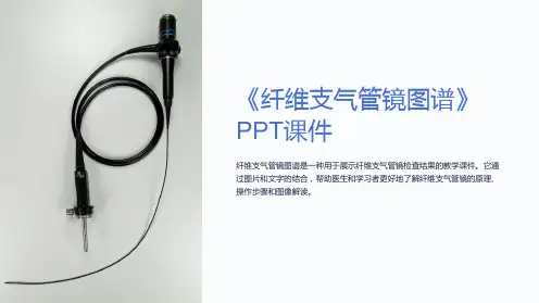 《纤维支气管镜图谱》课件