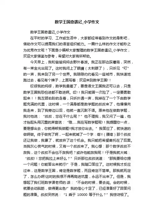 数学王国奇遇记_小学作文