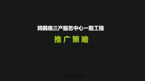 房地产项目营销提报