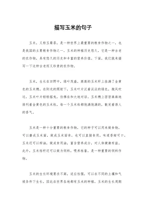 描写玉米的句子