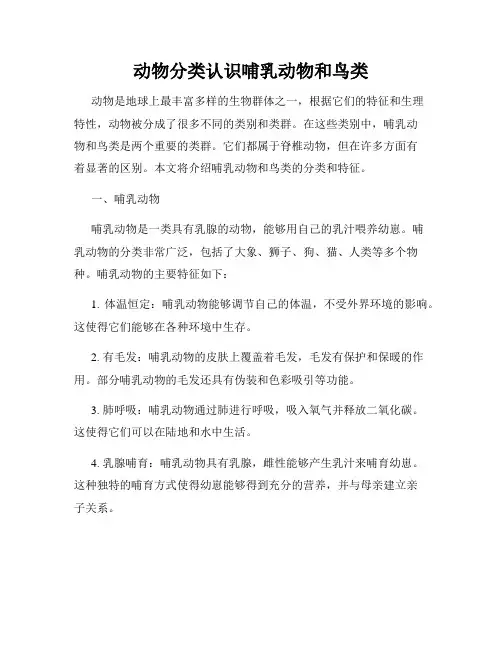 动物分类认识哺乳动物和鸟类