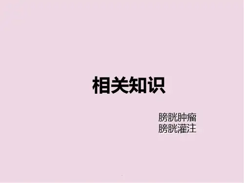 膀胱灌注医学PPT课件