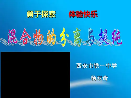 高中化学人教版高一必修一1.1化学实验基本方法(共 计15张ppt)