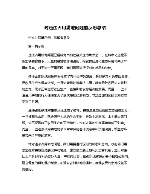 对违法占用耕地问题的反思总结