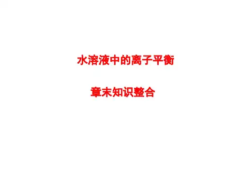 水溶液中的离子平衡复习课件