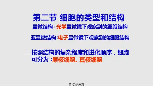 细胞的类型和结构全PPT课件