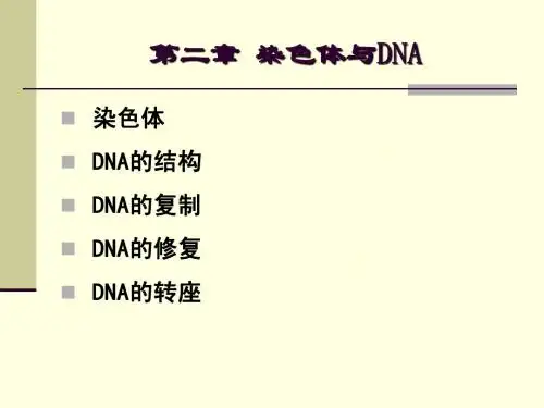 02 染色体与DNA-1