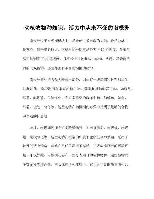动植物物种知识：活力中从来不变的南极洲