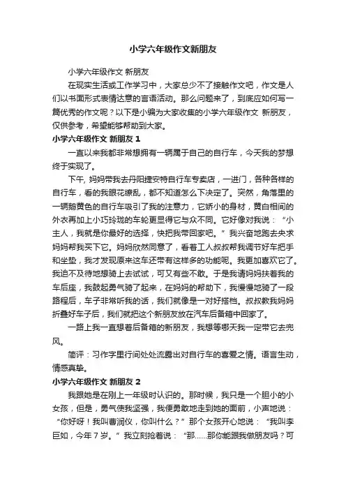 小学六年级作文新朋友