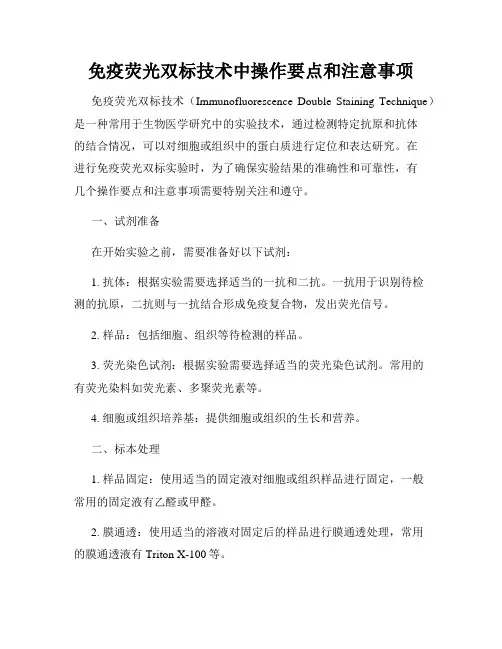 免疫荧光双标技术中操作要点和注意事项