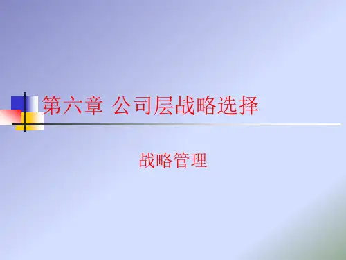 第六章 公司层战略选择