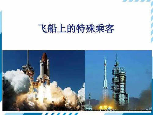 人教版四年级上册语文32 飞船上的特殊乘客课件