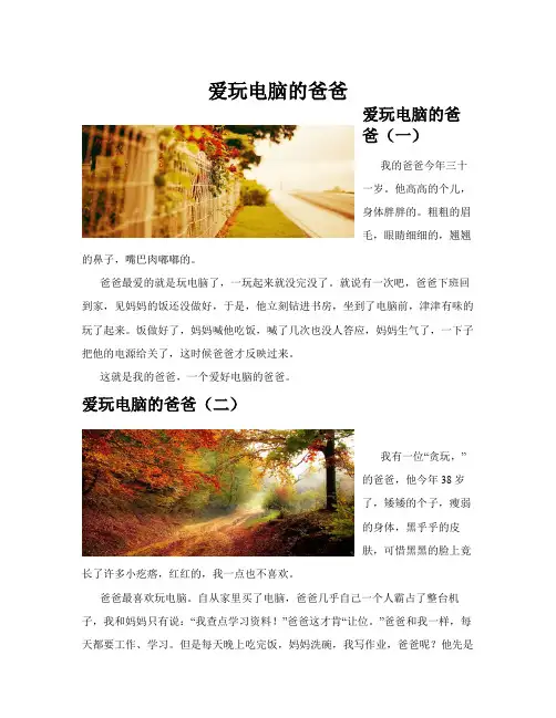 爱玩电脑的爸爸(共10)