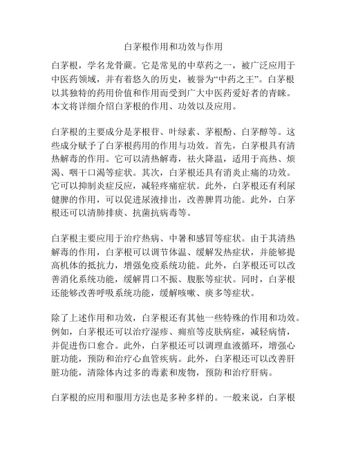 白茅根作用和功效与作用