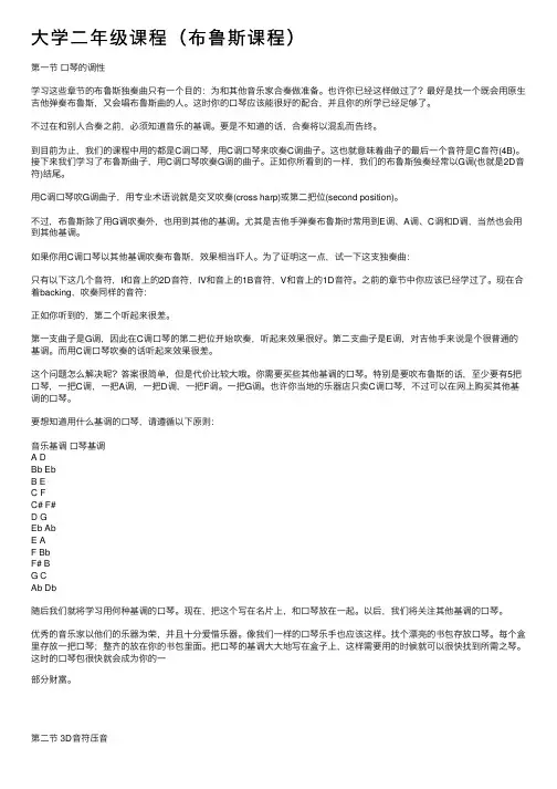 大学二年级课程（布鲁斯课程）