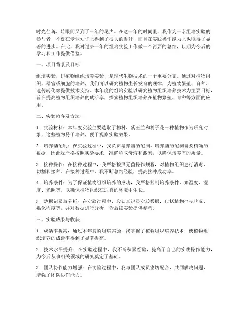 组培年度个人总结