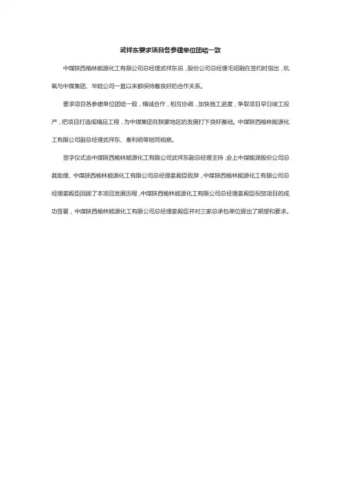 武祥东要求项目各参建单位团结一致