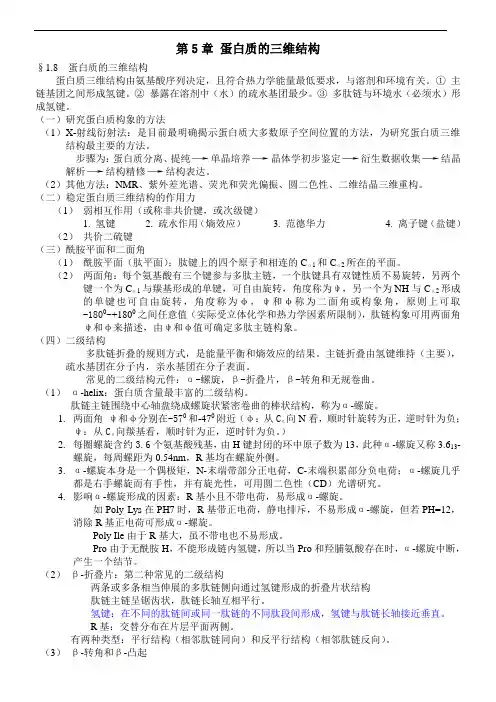 5第五章  蛋白质的三维结构