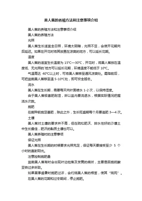 美人蕉的养殖方法和注意事项介绍