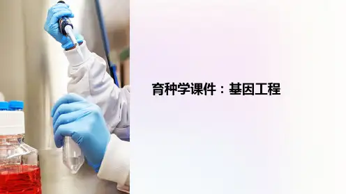 育种学课件:基因工程