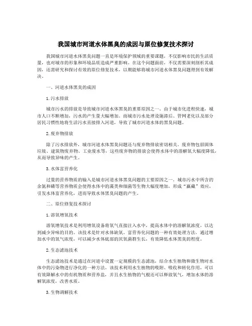 我国城市河道水体黑臭的成因与原位修复技术探讨