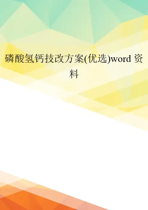 磷酸氢钙技改方案(优选)word资料