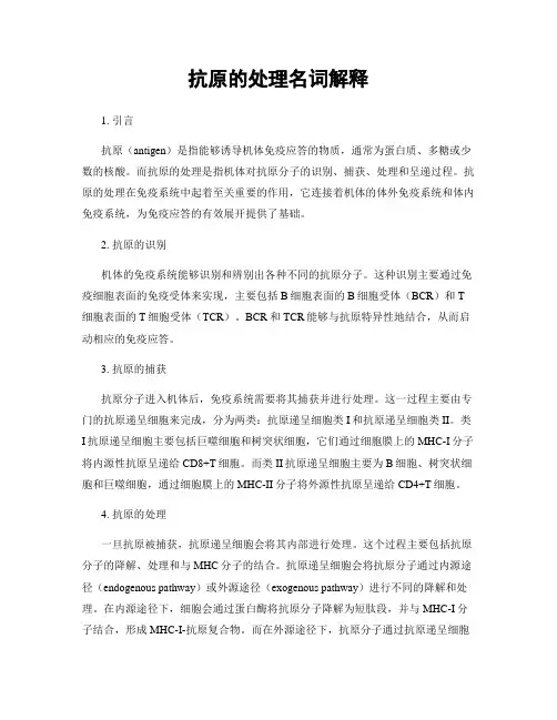 抗原的处理名词解释