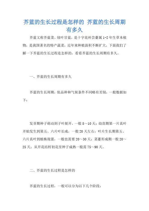 芥蓝的生长过程是怎样的 芥蓝的生长周期有多久